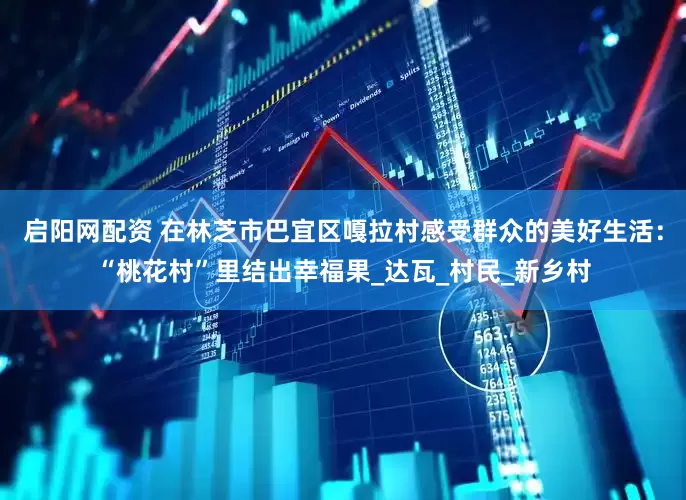 启阳网配资 在林芝市巴宜区嘎拉村感受群众的美好生活：“桃花村”里结出幸福果_达瓦_村民_新乡村
