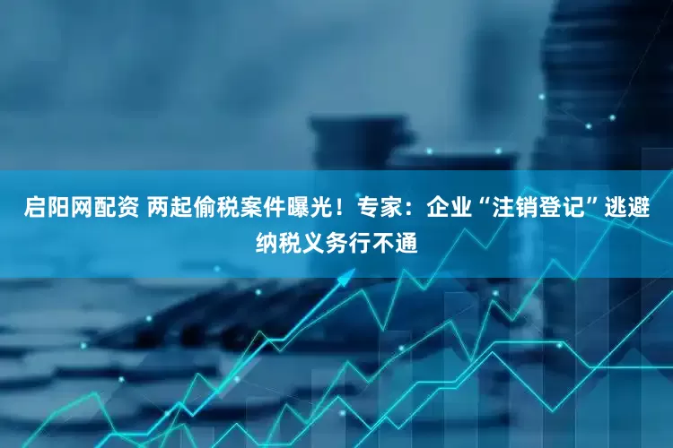 启阳网配资 两起偷税案件曝光！专家：企业“注销登记”逃避纳税义务行不通