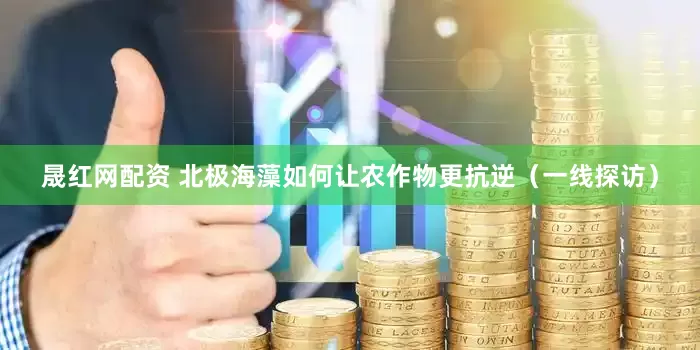 晟红网配资 北极海藻如何让农作物更抗逆（一线探访）