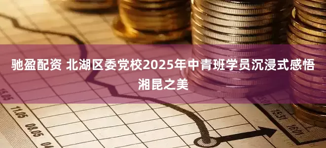 驰盈配资 北湖区委党校2025年中青班学员沉浸式感悟湘昆之美