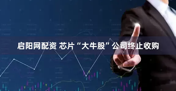 启阳网配资 芯片“大牛股”公司终止收购