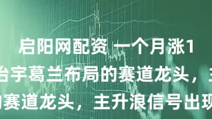 启阳网配资 一个月涨100元！谢治宇葛兰布局的赛道龙头，主升浪信号出现？